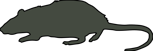 Rodent icon
